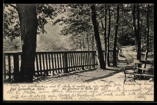 AK Bad Suderode a. Harz, Am Fischteich im Kalten Tal