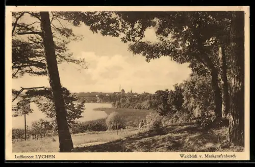 AK Lychen, Waldblick v. Markgrafenbusch