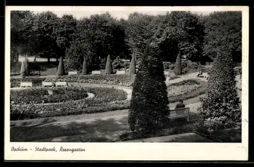 AK Bochum, Stadtpark, Rosengarten