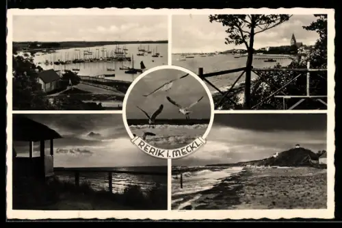 AK Rerik, Strassenpartie, Möwen über der Brandung, Hafen mit Fischerbooten