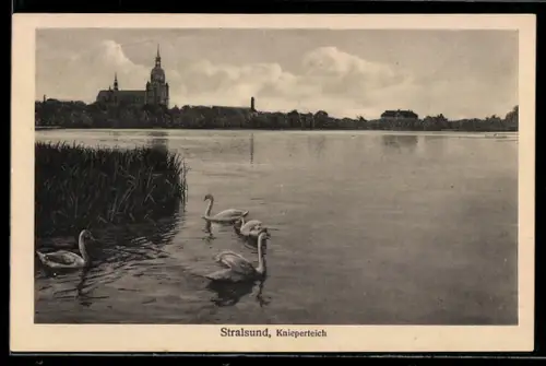 AK Stralsund, Knieperteich mit Kirche