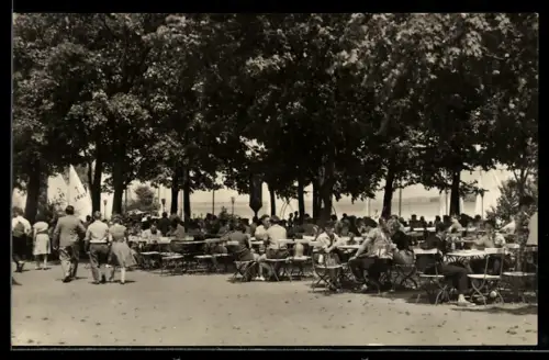 AK Brandenburg /Havel, Cafe an der Malge