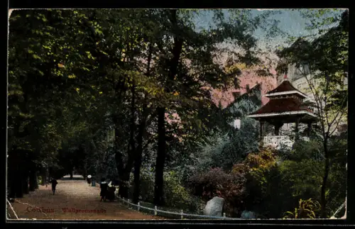 AK Cottbus, Wallpromenade, Spaziergänger