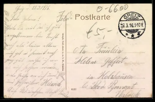 AK Greiz, Totalansicht