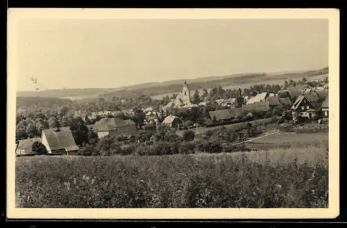 AK Eisfeld /Thür., Schloss, Ortspartie