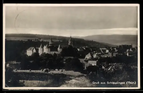 AK Schleusingen /Thür., Teilansicht mit Schloss
