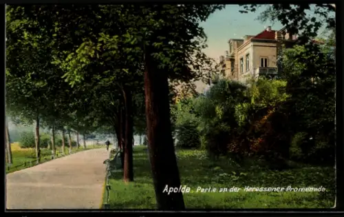 AK Apolda, Partie an der Heressener Promenade