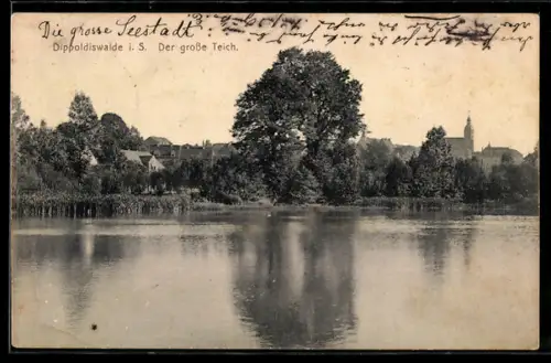 AK Dippoldiswalde i. S., Der grosse Teich, Ortspanorama