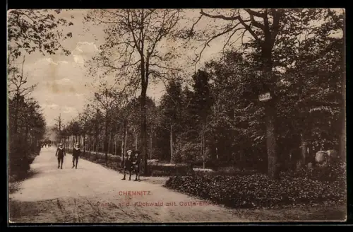 AK Chemnitz, Spaziergang im Küchwald mit Cotta-Eiche