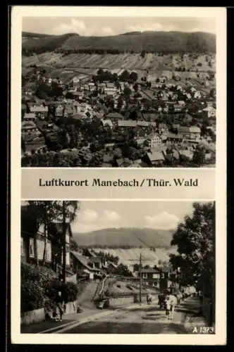 AK Manebach /Thür. Wald, Ortsansicht, Strassenpartie mit Kuhherde