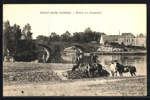 AK Pont-sur-Yonne, Pont vu d`amont avec troupeau traversant la rivière