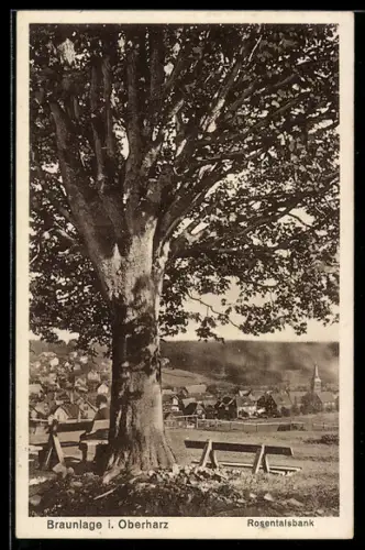 AK Braunlage i. Oberharz, Ortsansicht mit Rosentalsbank im Vordergrund