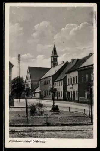 AK Schildau, Strassenpartie mit Wohngebäuden