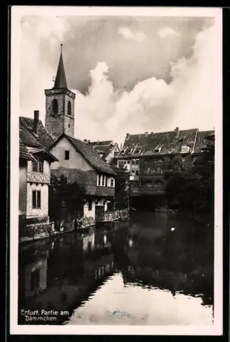 AK Erfurt, Partie am Dämmchen