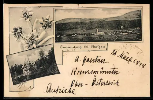 AK Thalgau, Amönenburg, Totalansicht des Ortes mit Umgebung und Herrenhaus