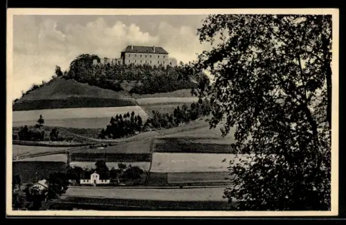 AK Pecka, Blick zum Schloss