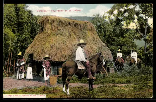 AK Córdoba, Mayordomo en un Cafetal