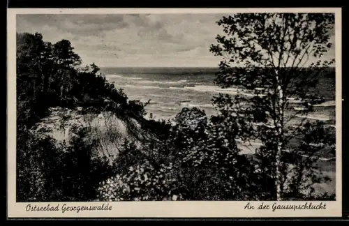 AK Georgenswalde, An der Gausupschlucht