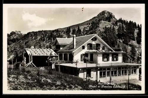 AK Rigi, Staffelhöhe, Hotel-Pension Edelweiss