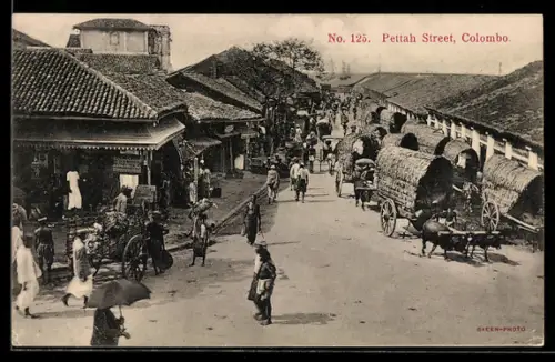 AK Colombo, Pettah Street, Strassenansicht mit Ochsenwagen