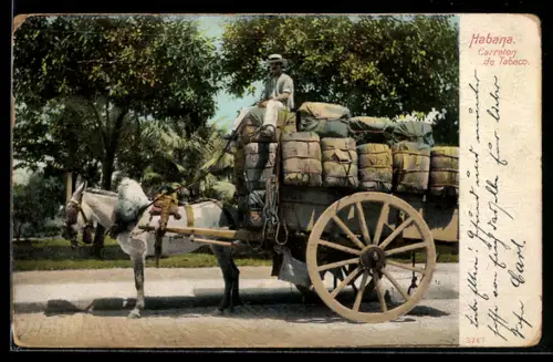 AK Havana, Eselgespann transportiert Tabak