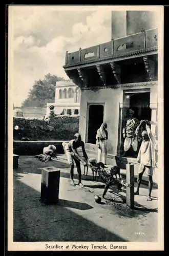 AK Benares, Sacrifice at Monkey Temple