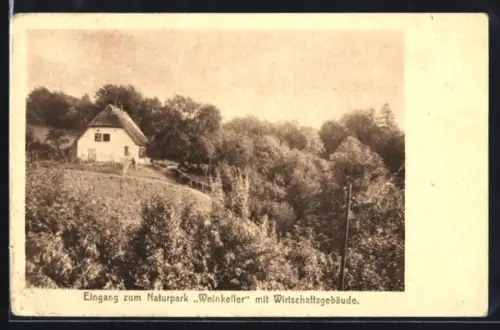 AK Glashagen /Doberan, Eingangsbereich Naturpark Weinkeller mit Gasthaus
