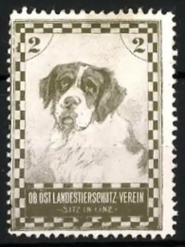 Reklamemarke Linz, Österr. Landestierschutz-Verein, Bernhardiner Hundeporträt