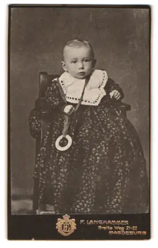 Fotografie F. Langhammer, Magdeburg, Breite Weg 21-22, Kleinkind auf Stuhl