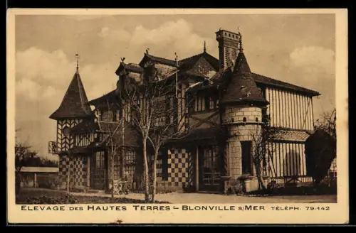 AK Blonville s/Mer, Elevage des Hautes Terres