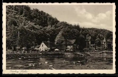 AK Treseburg /Harz, Die Halde im Bodetal