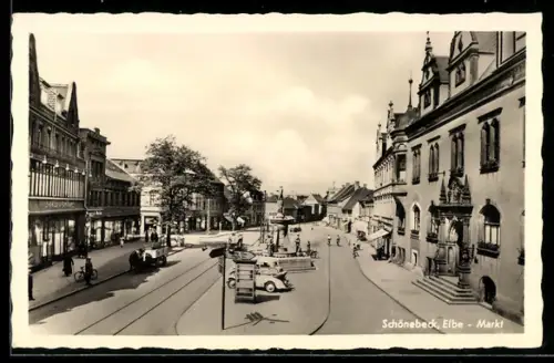 AK Schönebeck, Markt mit Denkmal, Fahrradfahrer, Automobile
