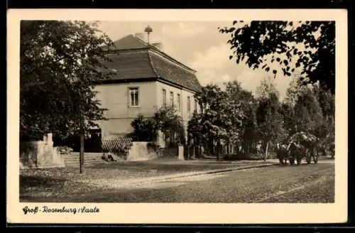AK Gross-Rosenburg /Saale, Ortspartie mit Anwesen und Fuhrwerk