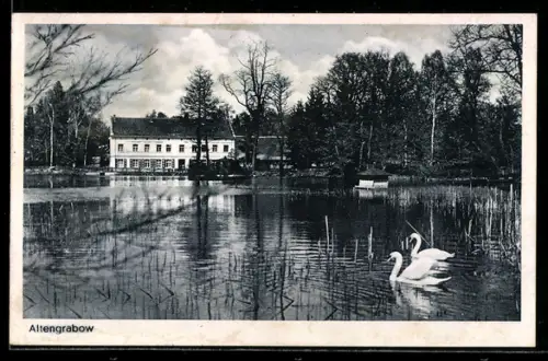 AK Altengrabow, Teich mit Anwesen