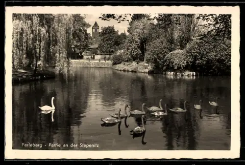 AK Perleberg, Partie an der Stepenitz, Schwäne
