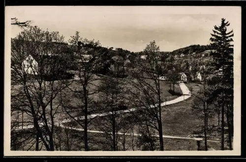 AK Weissbach /Zschopautal, Ortsansicht mit Zufahrtsstrasse