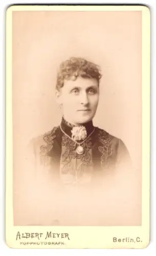 Fotografie Albert Meyer, Berlin, Alexanderstrasse 45, Porträt einer Frau mit elegantem Kleid