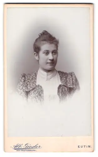 Fotografie Alb. Giesler, Eutin, Kielerstrasse 4, Porträt einer Dame