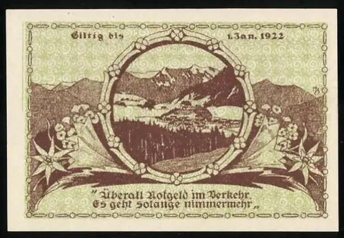 Notgeld Ruhpolding 1921, 30 Pfennig, Berglandschaft und Edelweissblüten