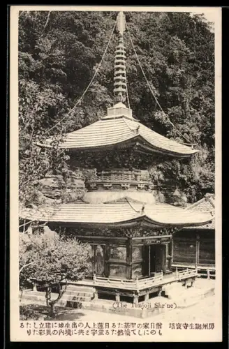 AK Tokyo, The Tanjoji Shrine