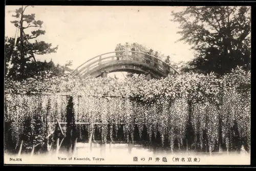 AK Tokyo, View of Kameido