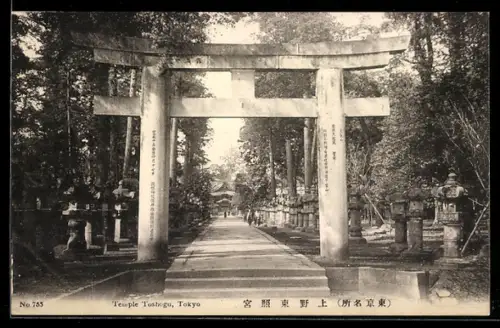 AK Tokyo, Temple Toshogu