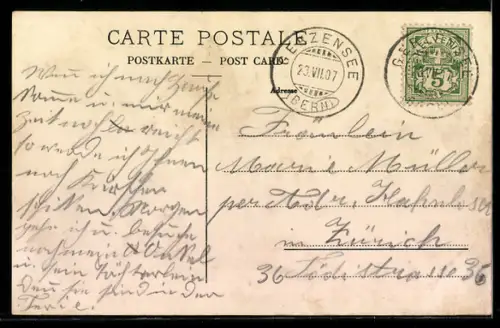 AK Gerzensee, Panorama