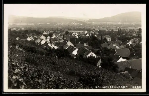 AK Schinznach-Dorf, Blick vom Weinberg auf den Ort