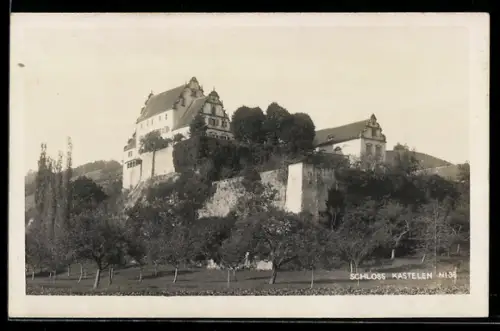 AK Schinznach, Schloss Kasteln, Panorama
