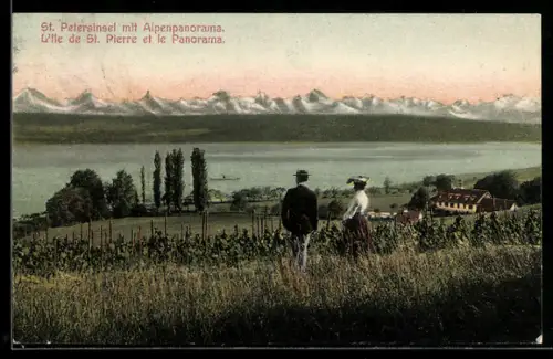 AK St. Petersinsel, Ortsansicht mit Alpenpanorama