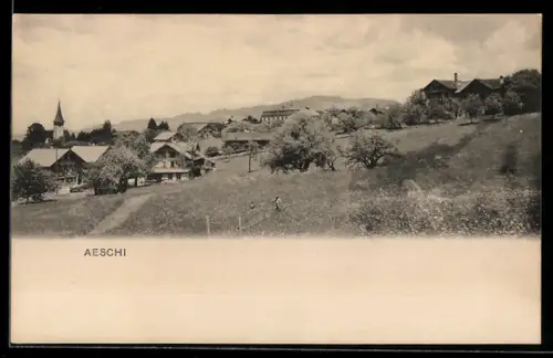 AK Aeschi, Ortsansicht mit Wiesen u. Bergpanorama