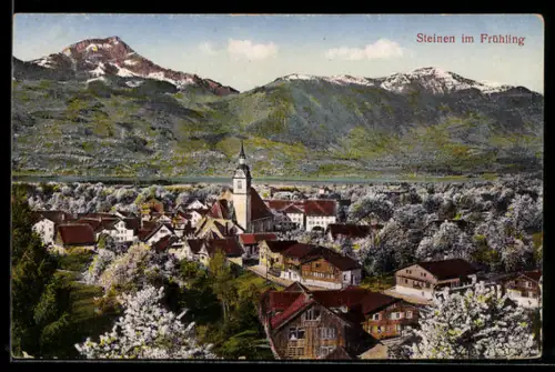 AK Steinen, Totalansicht im Frühling