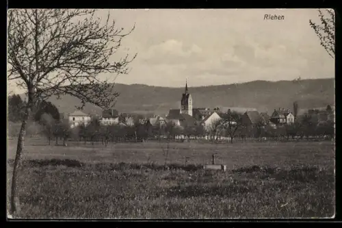 AK Riehen, Ortspanorama mit Wiesen u. Bergrücken
