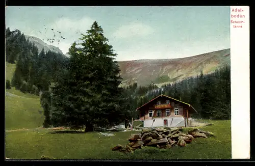 AK Adelboden, Schormtanne mit Gebäude